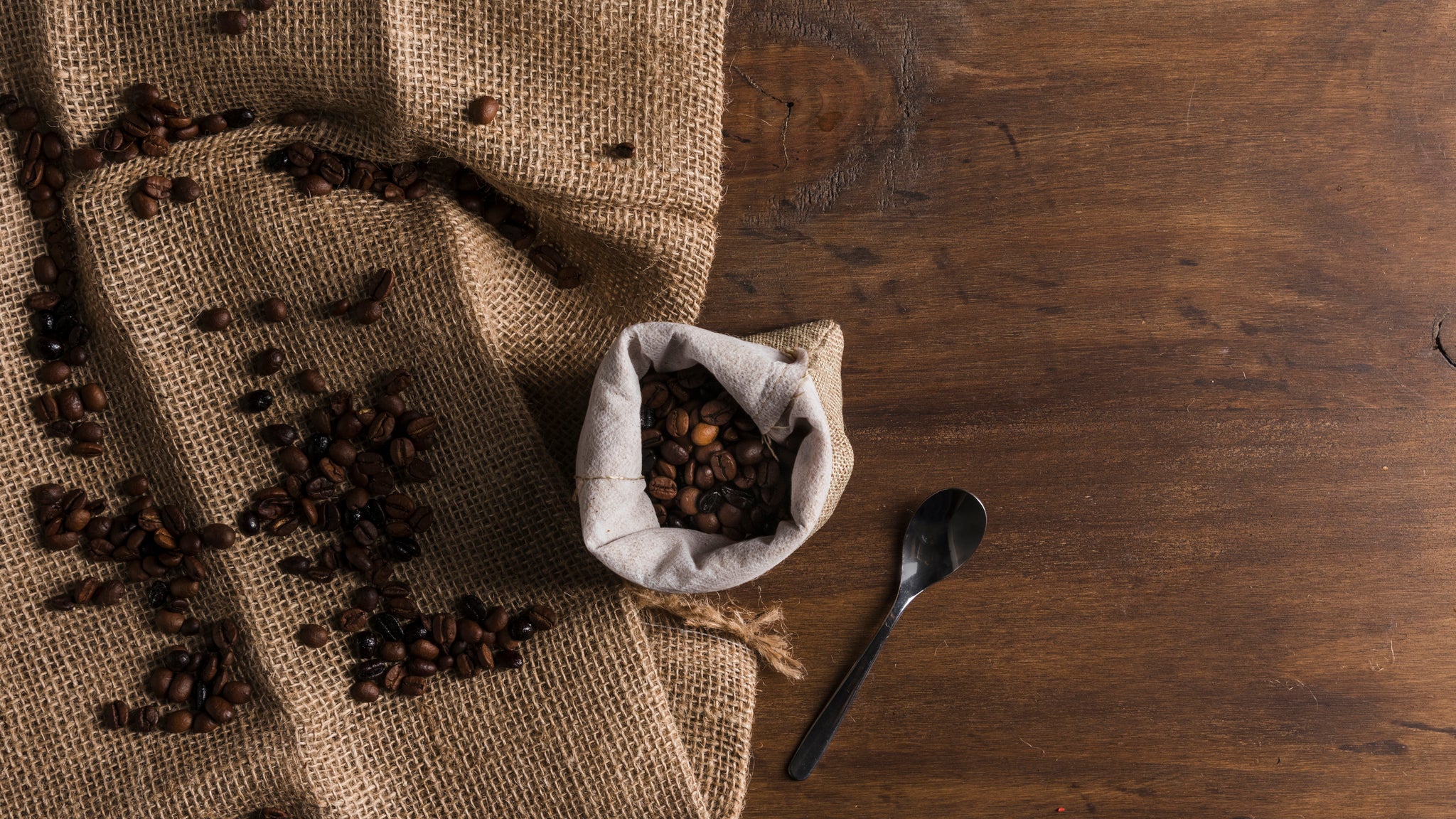 Can You Compost Coffee Grounds?