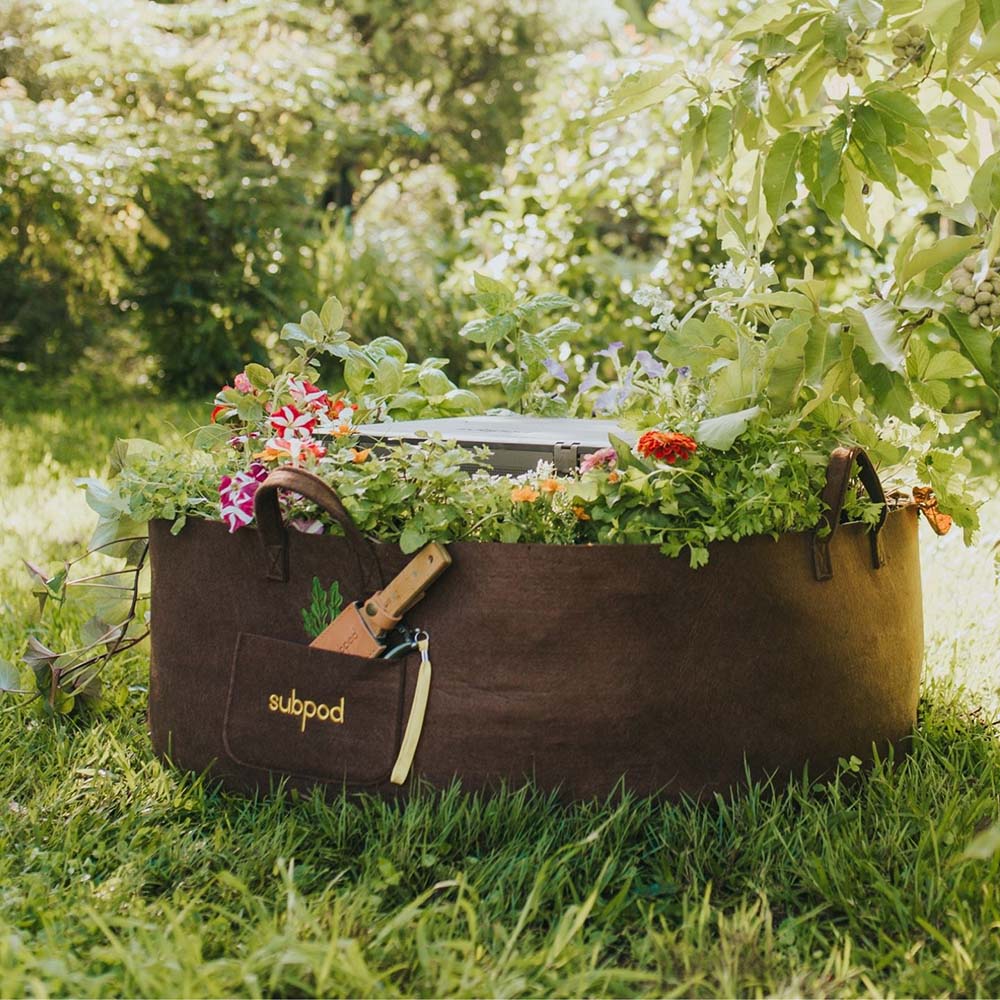 Grow Bags for Vegetable Gardening and More - The Beginner's Garden