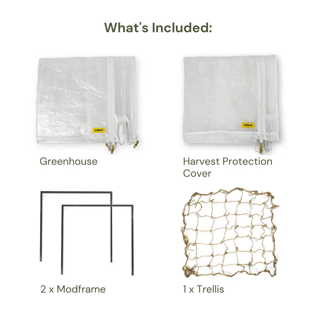 greenhouse trellis and protection cover for planter box