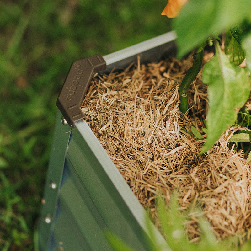 Grow Bed Bundle - Subpod US