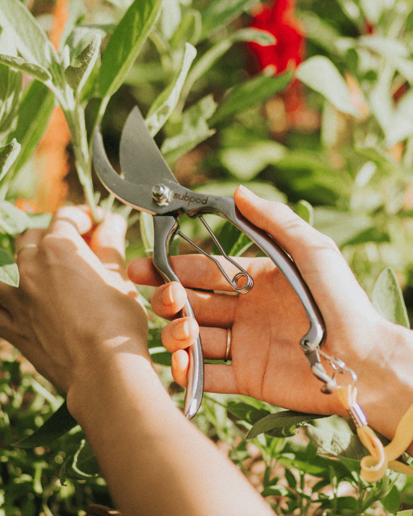 Garden Shears - Subpod US