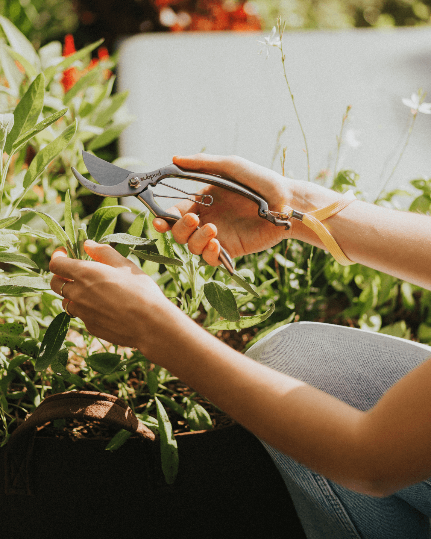 Garden Shears - Subpod US