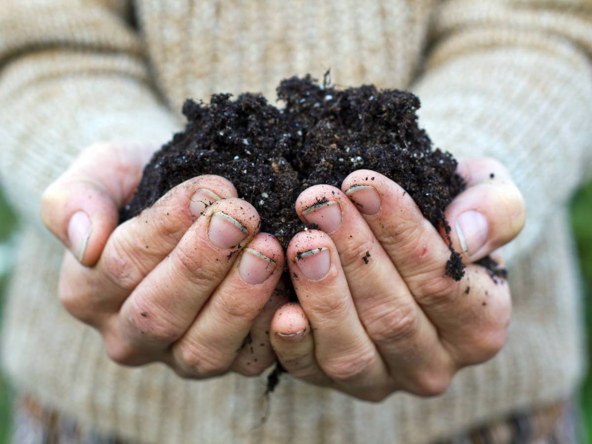 Why Compost Is Essential For Your Garden