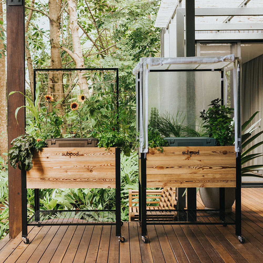 greenhouse and trellis