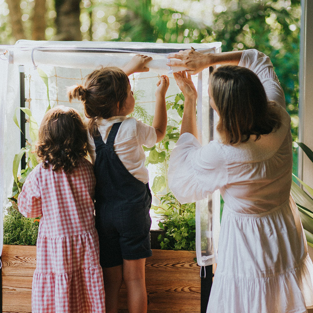 Balcony planter box